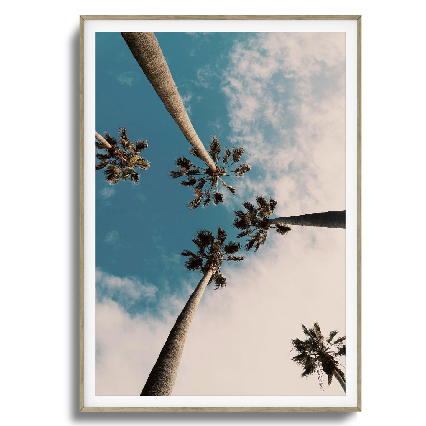 Skyward Palms Framed Art