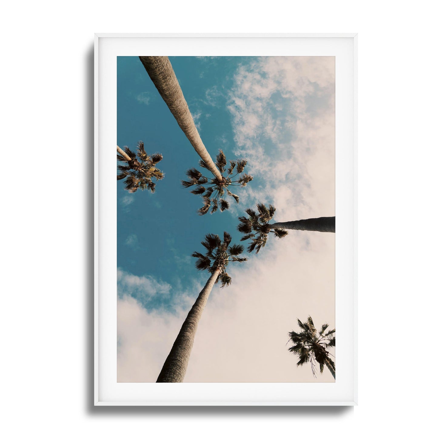 Skyward Palms Framed Art