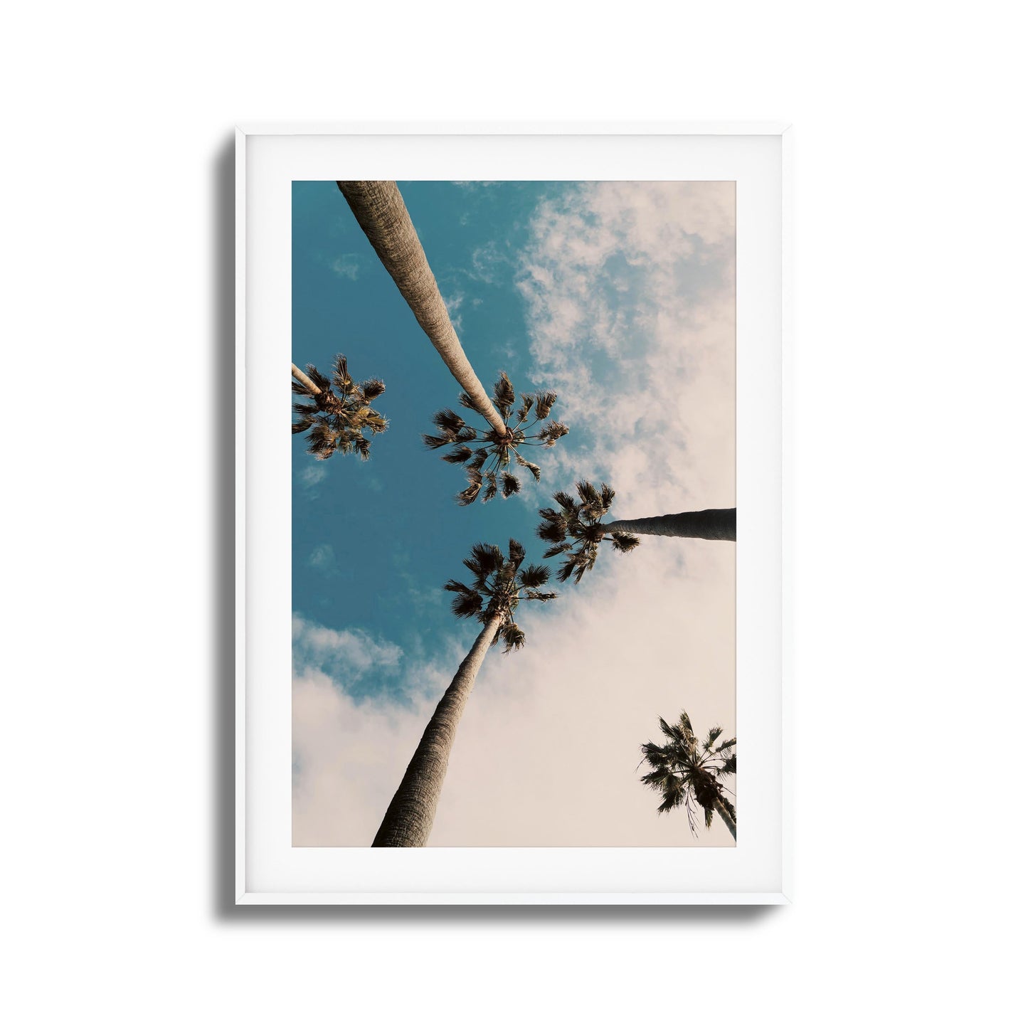 Skyward Palms Framed Art
