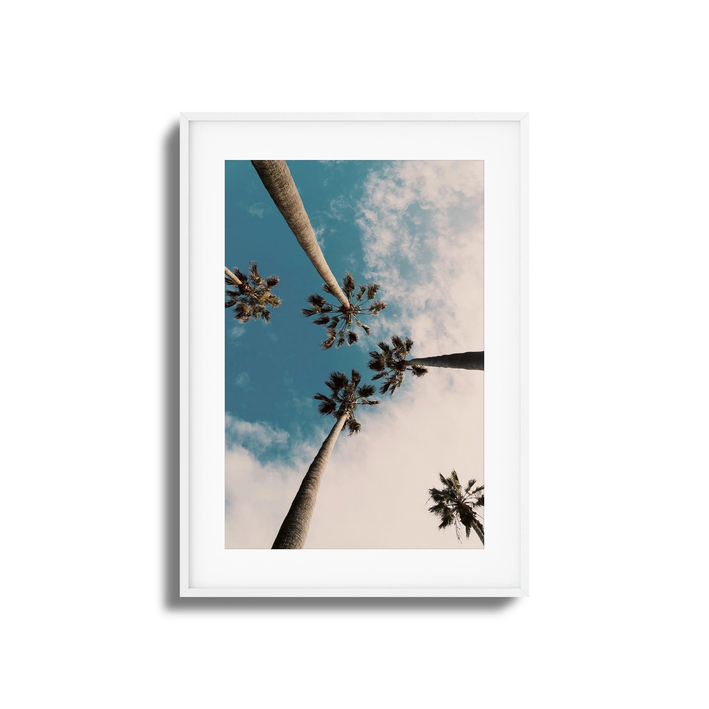 Skyward Palms Framed Art