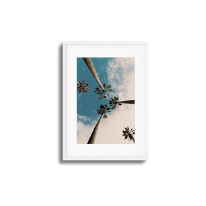 Skyward Palms Framed Art