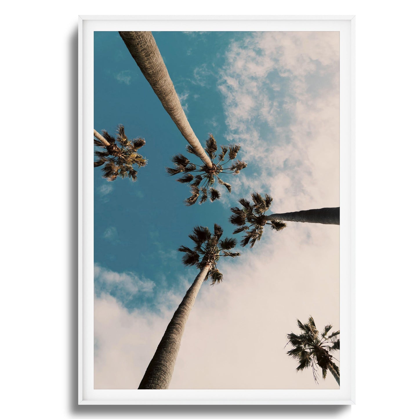 Skyward Palms Framed Art