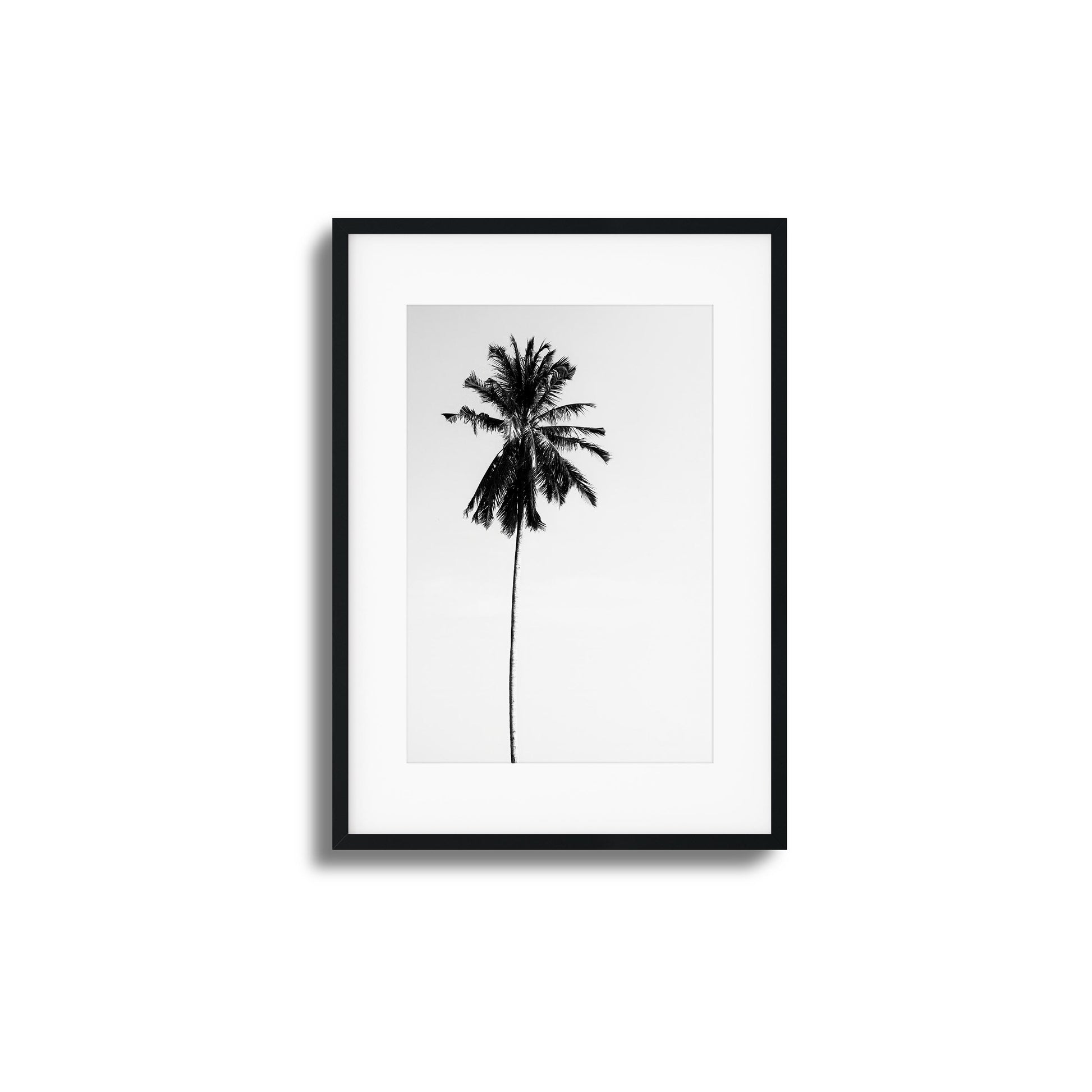 Black-and-white minimalist palm tree framed art