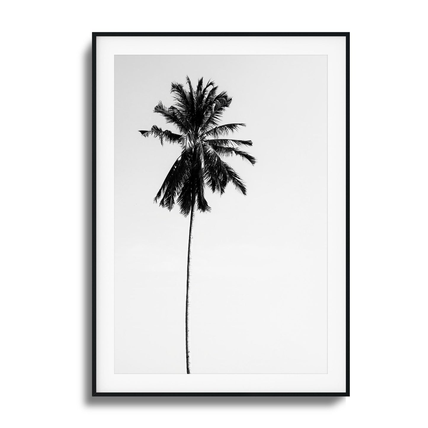 Black-and-white minimalist palm tree framed art