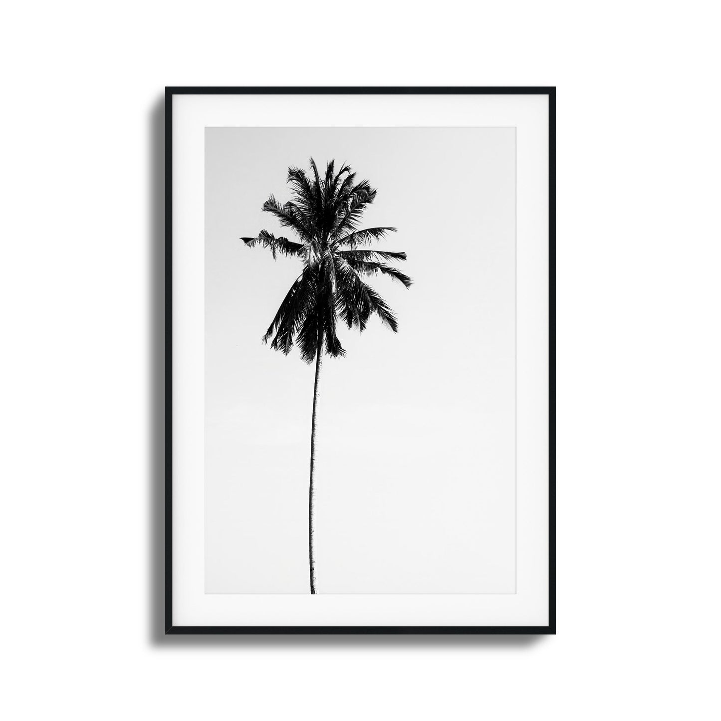 Black-and-white minimalist palm tree framed art