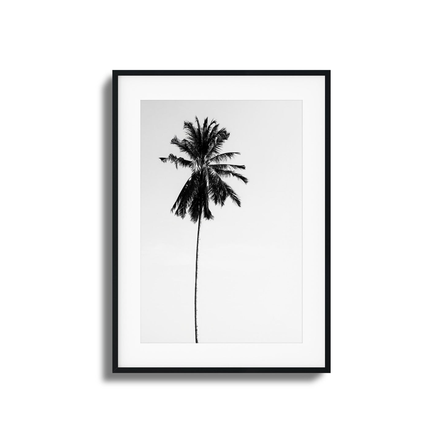 Black-and-white minimalist palm tree framed art