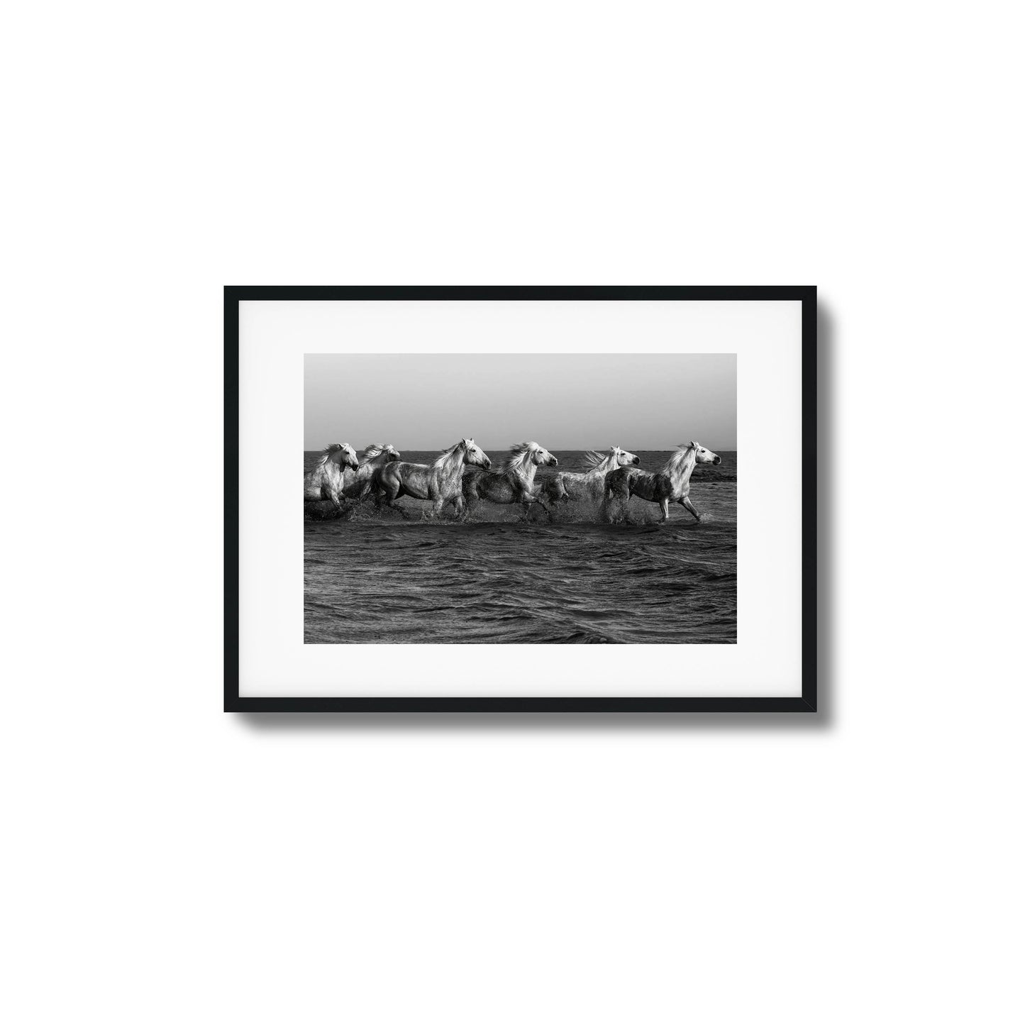 Wild horses galloping through water black-and-white framed art