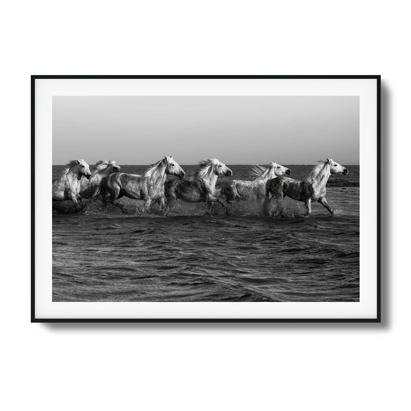 Wild horses galloping through water black-and-white framed art