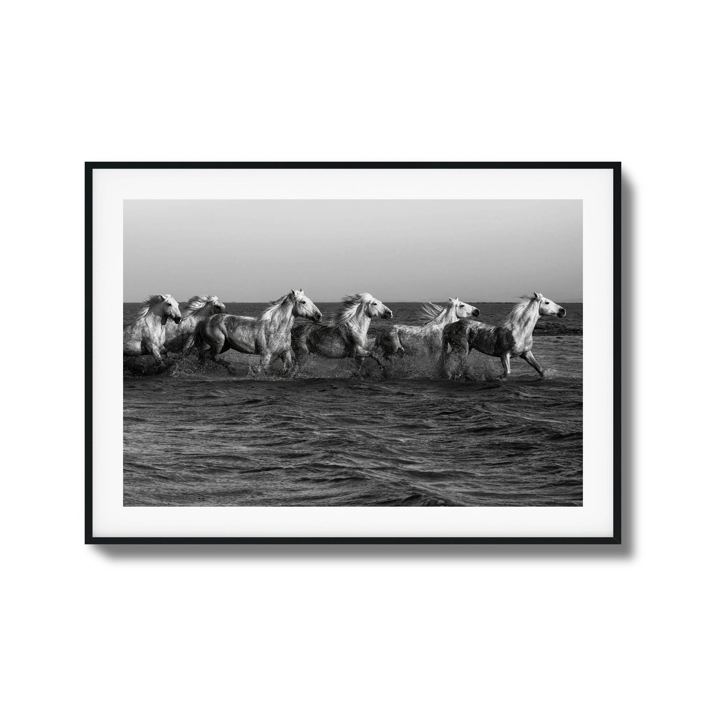 Wild horses galloping through water black-and-white framed art