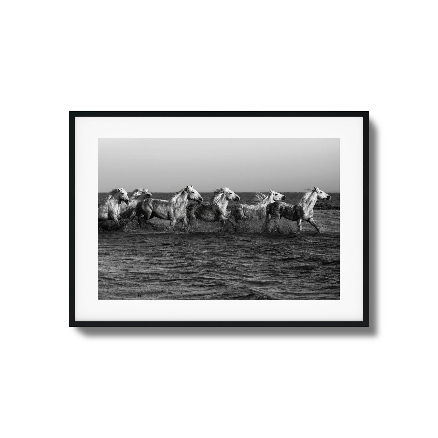 Wild horses galloping through water black-and-white framed art