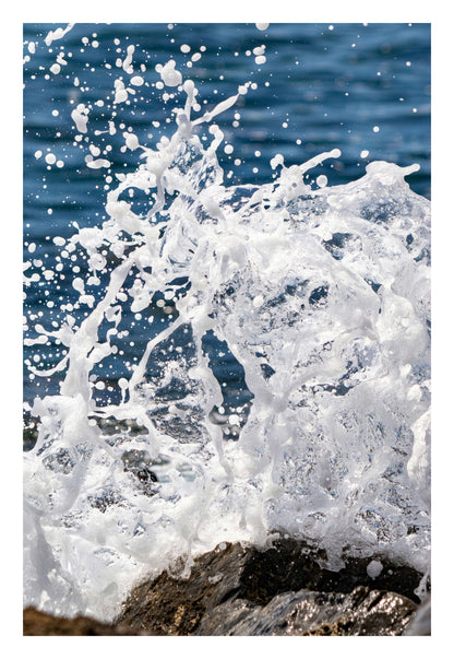 Splash Dance Framed Art