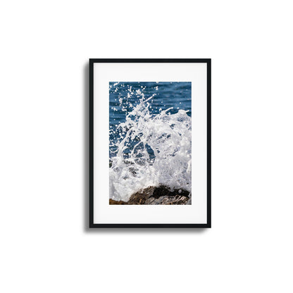 Splash Dance Framed Art