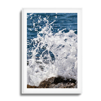 Splash Dance Framed Art