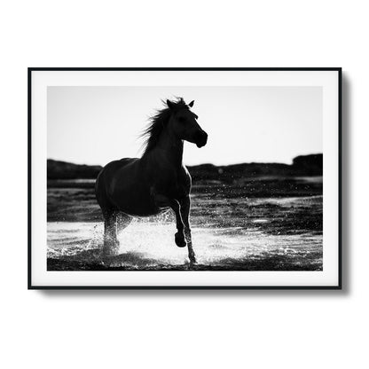 Splashing Stallion Framed Art - Assure Spark