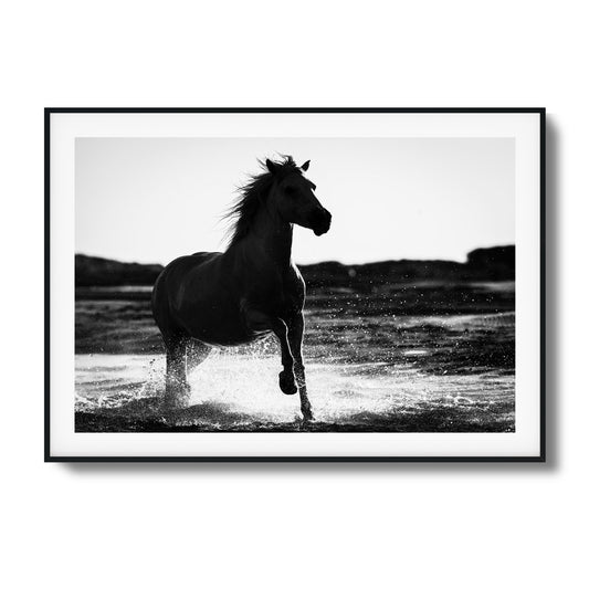 Splashing Stallion Framed Art - Assure Spark