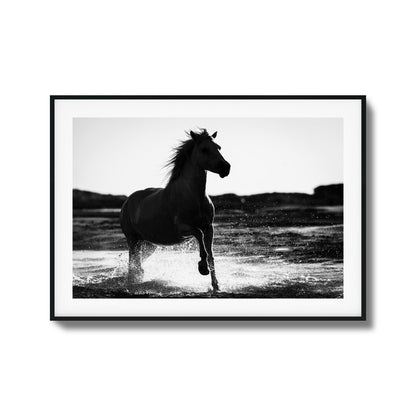 Splashing Stallion Framed Art