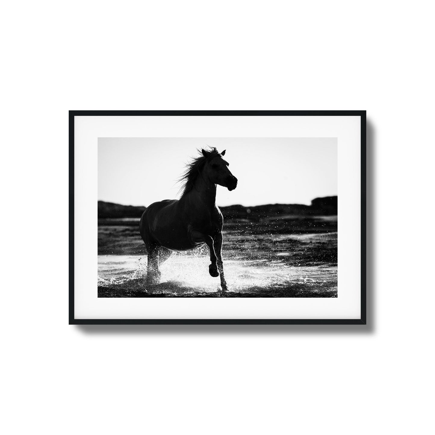 Splashing Stallion Framed Art