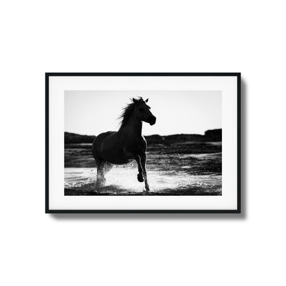 Splashing Stallion Framed Art