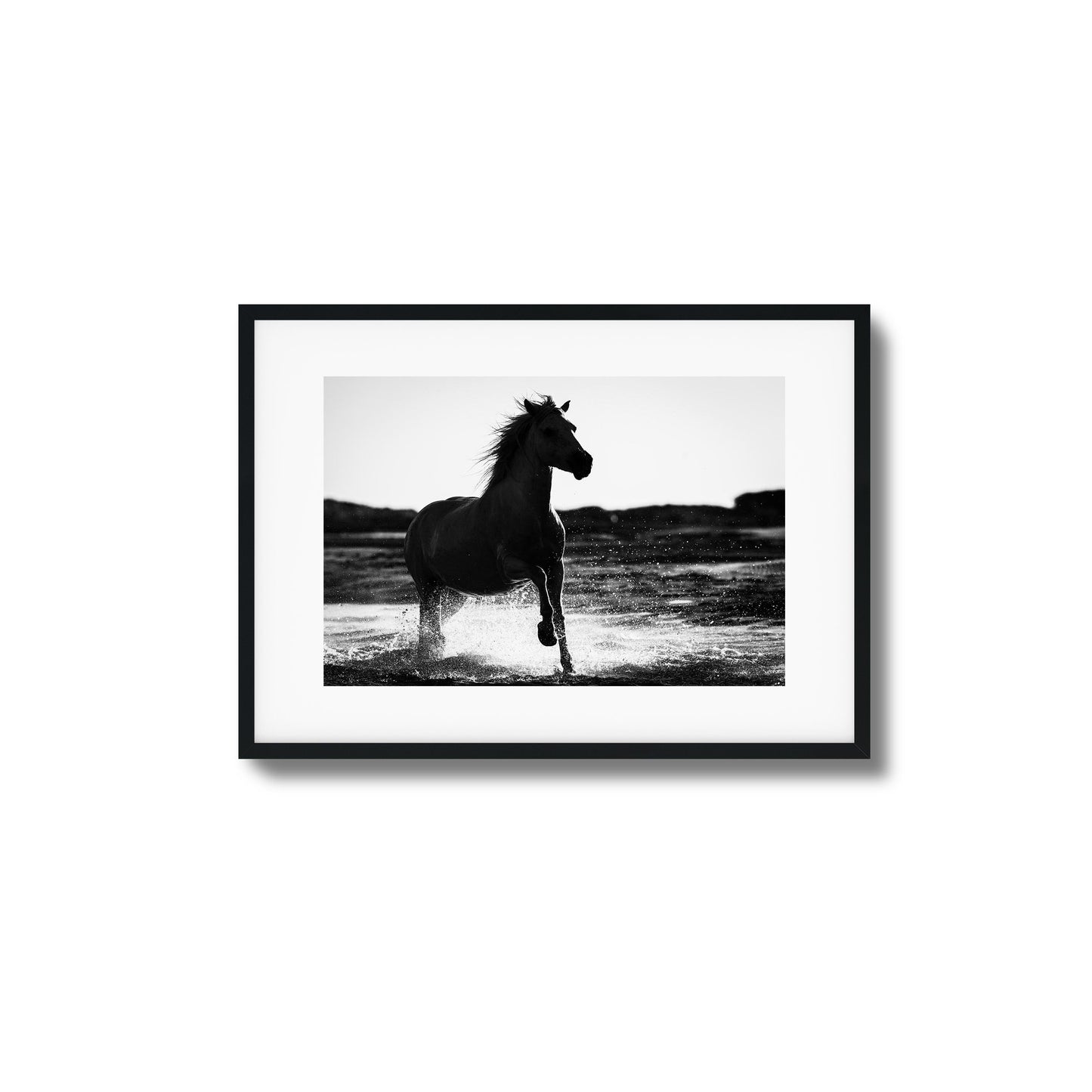 Splashing Stallion Framed Art