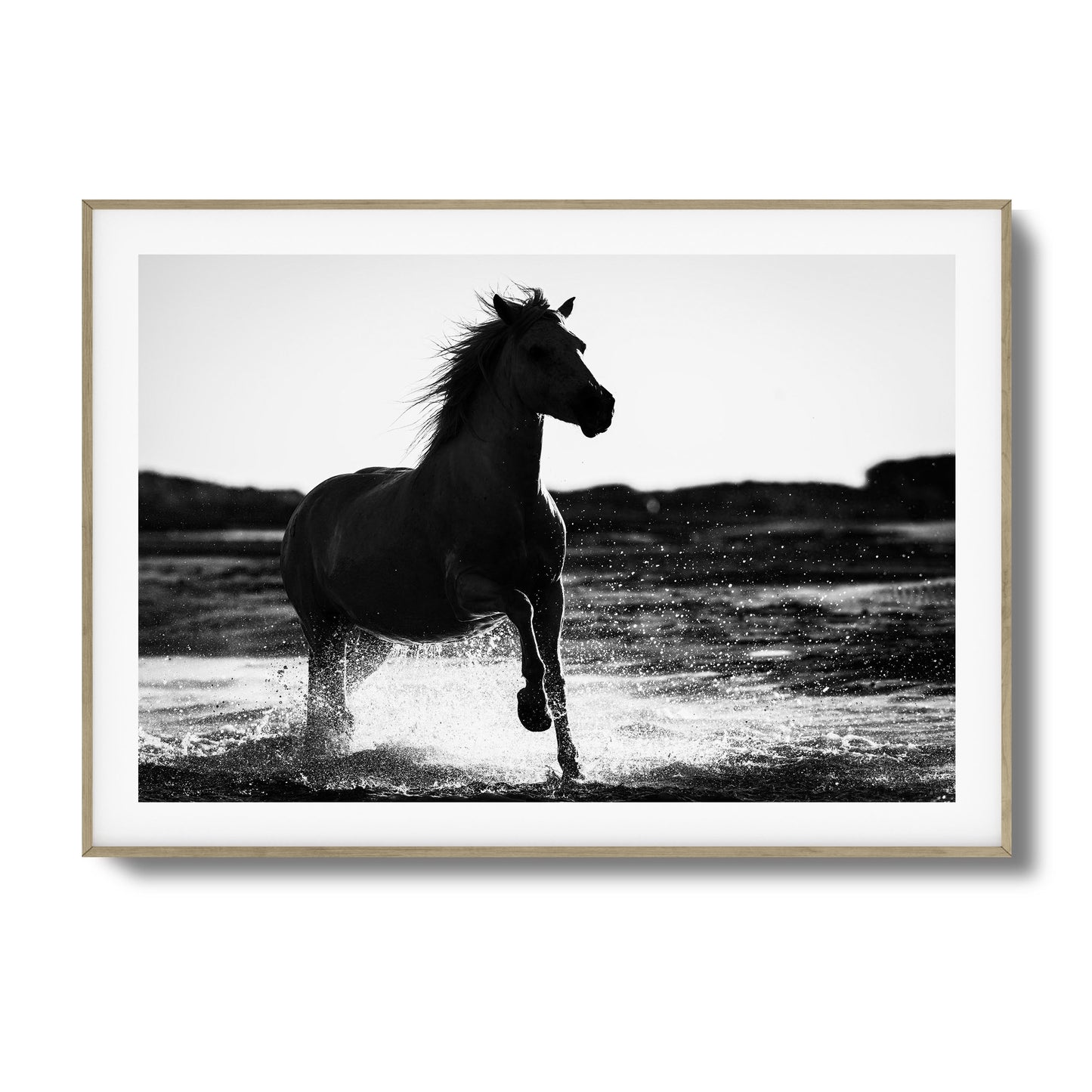 Splashing Stallion Framed Art