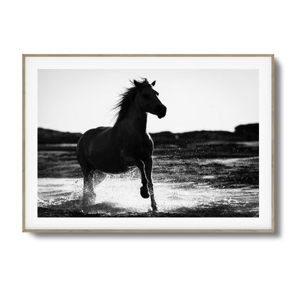 Splashing Stallion Framed Art