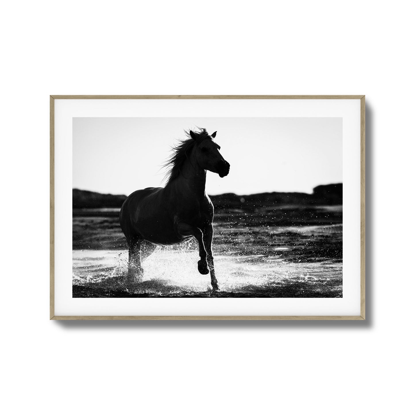 Splashing Stallion Framed Art