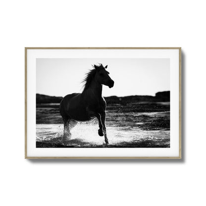 Splashing Stallion Framed Art