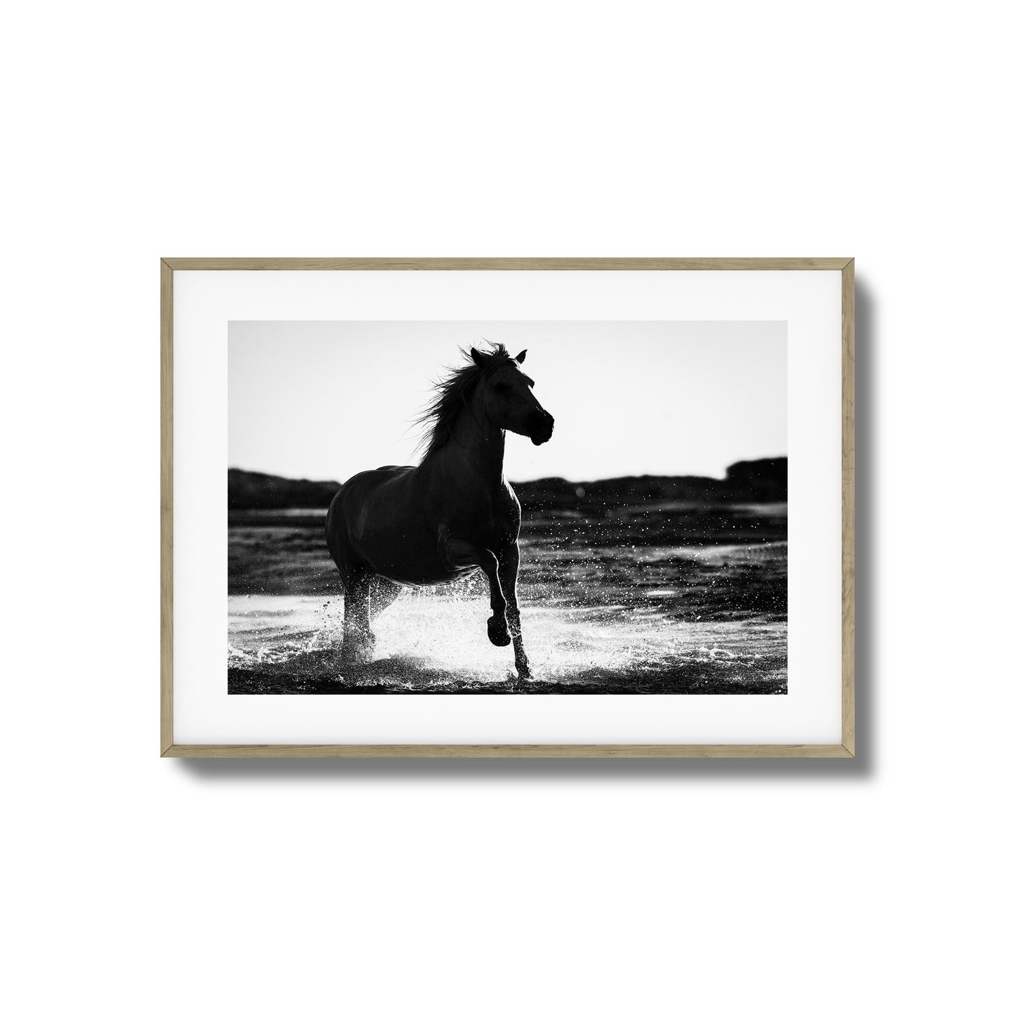 Splashing Stallion Framed Art