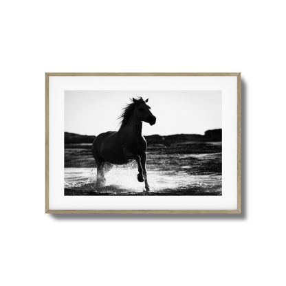 Splashing Stallion Framed Art