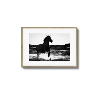 Splashing Stallion Framed Art