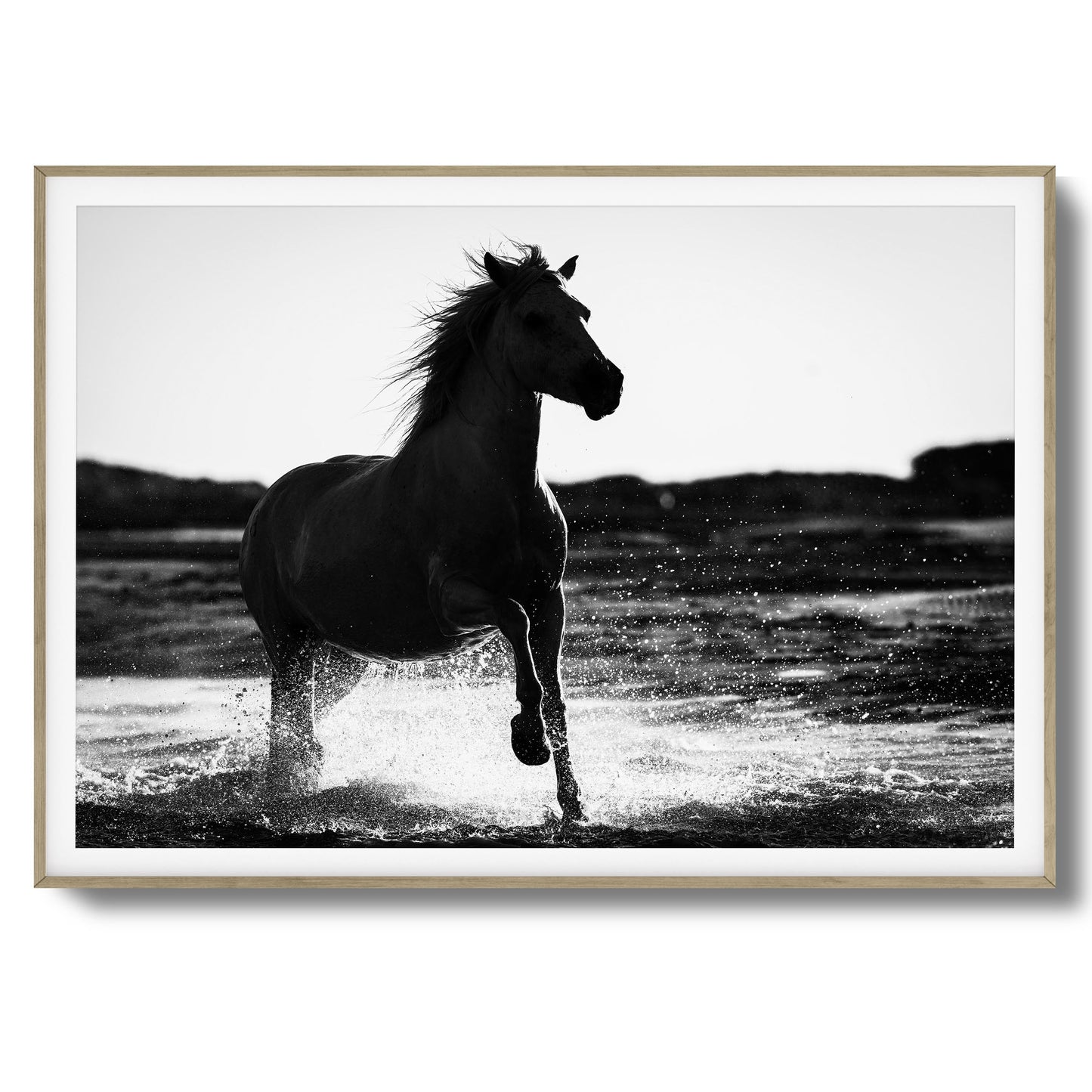 Splashing Stallion Framed Art