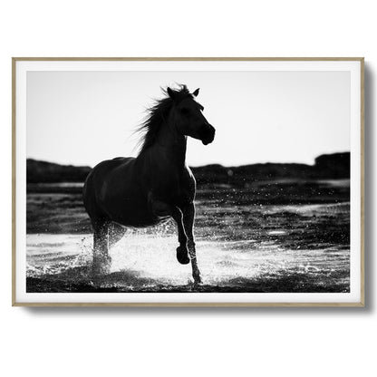Splashing Stallion Framed Art