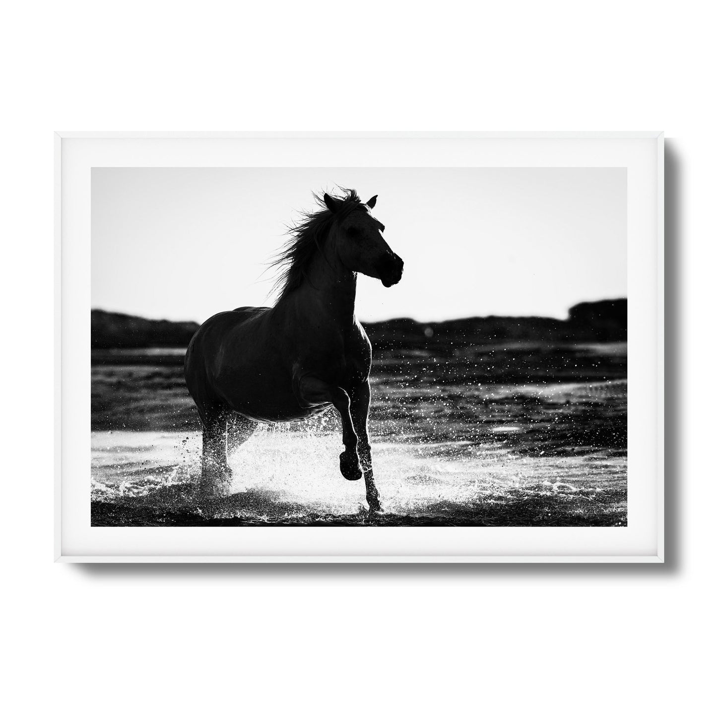 Splashing Stallion Framed Art