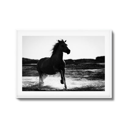 Splashing Stallion Framed Art
