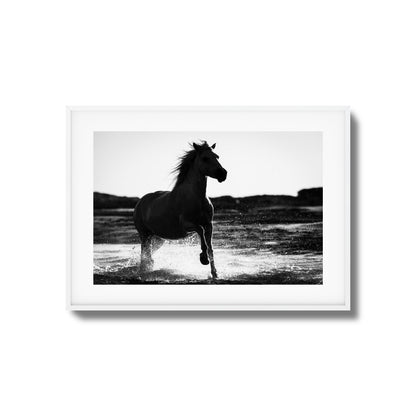 Splashing Stallion Framed Art