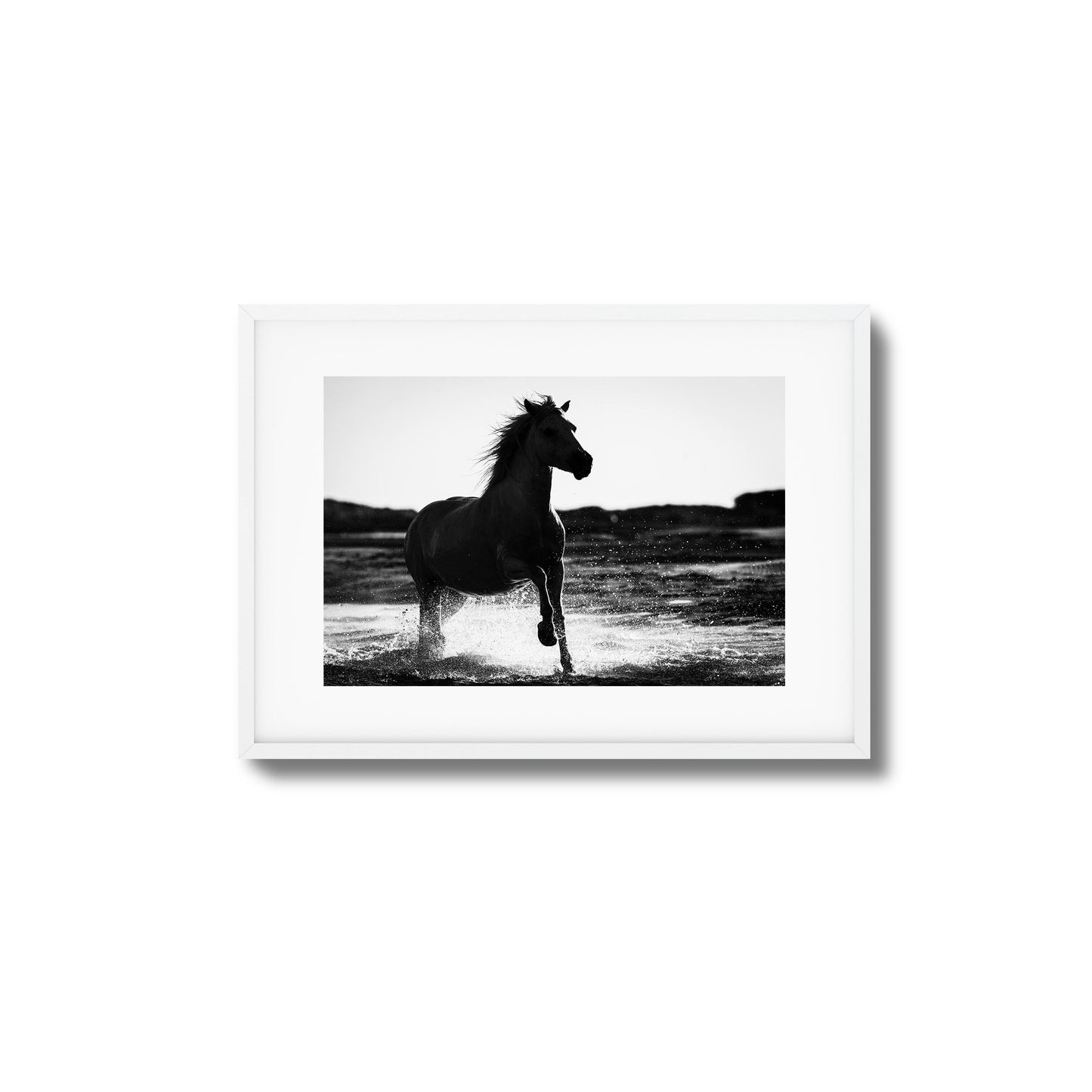 Splashing Stallion Framed Art