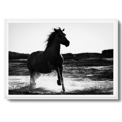 Splashing Stallion Framed Art