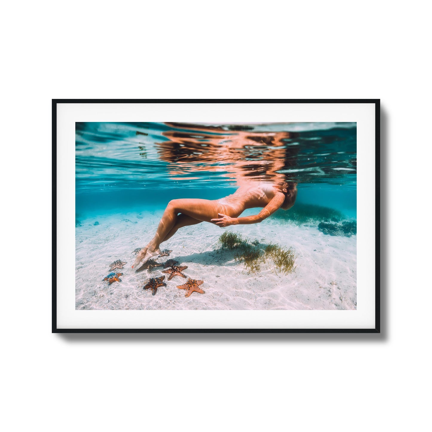 Starfish Drift Framed Art