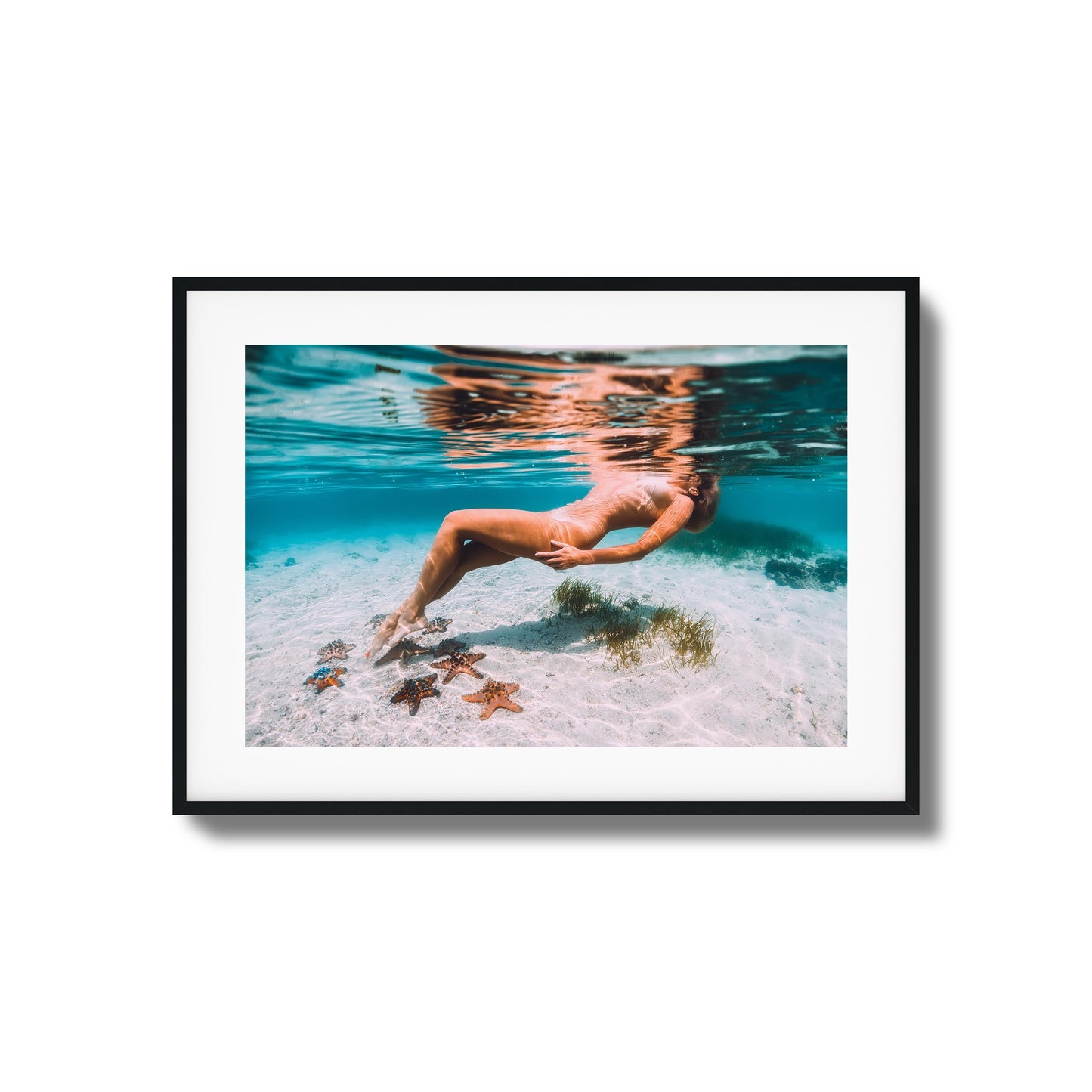 Starfish Drift Framed Art