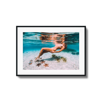Starfish Drift Framed Art