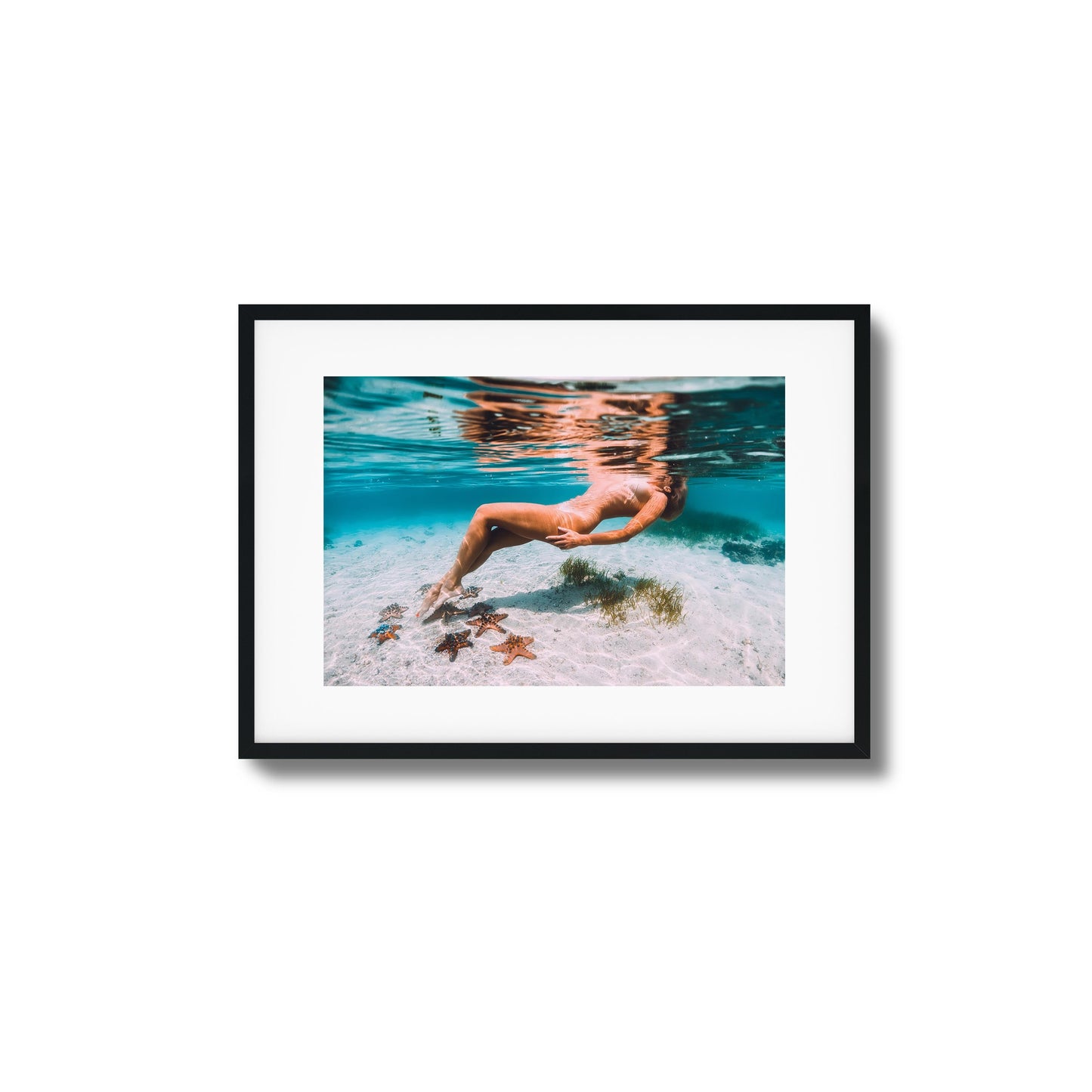 Starfish Drift Framed Art