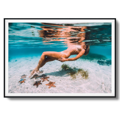 Starfish Drift Framed Art