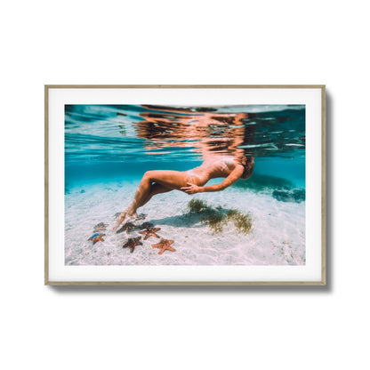 Starfish Drift Framed Art