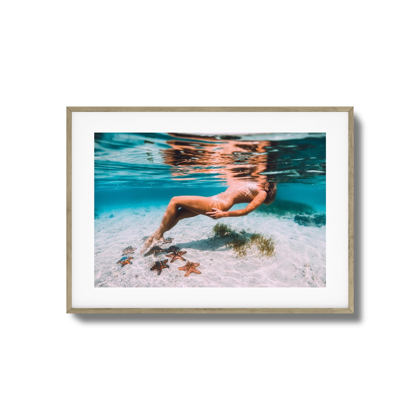 Starfish Drift Framed Art