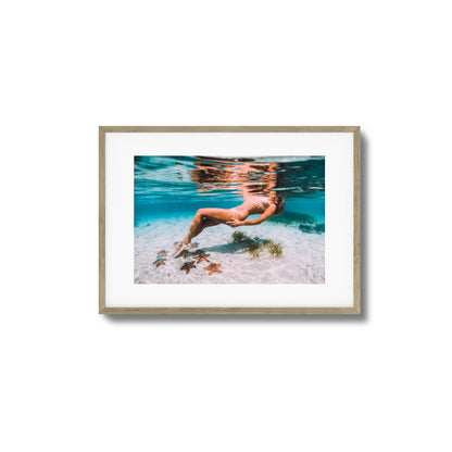Starfish Drift Framed Art