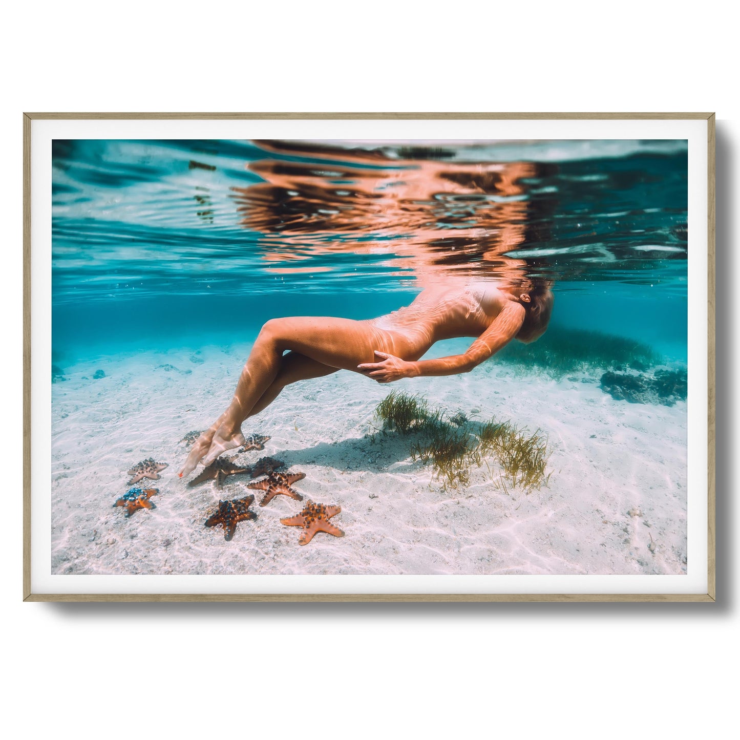 Starfish Drift Framed Art