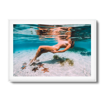 Starfish Drift Framed Art