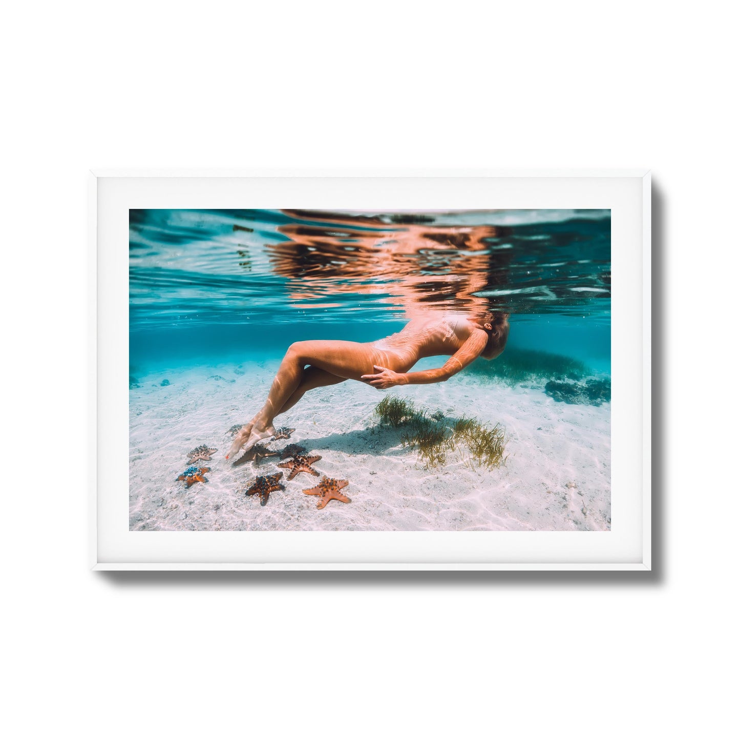 Starfish Drift Framed Art