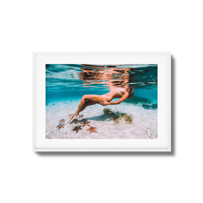 Starfish Drift Framed Art