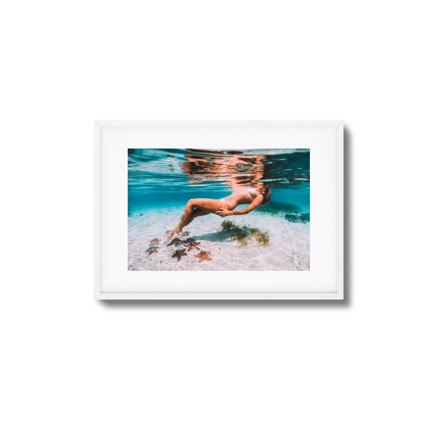 Starfish Drift Framed Art